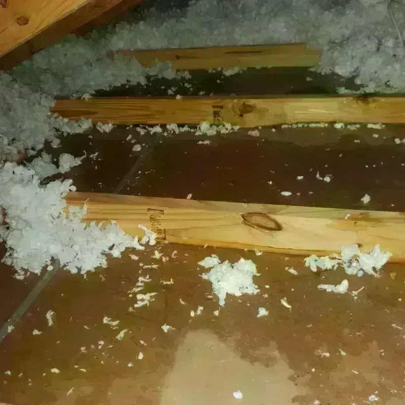 Attic Water Damage in Dixfield, ME