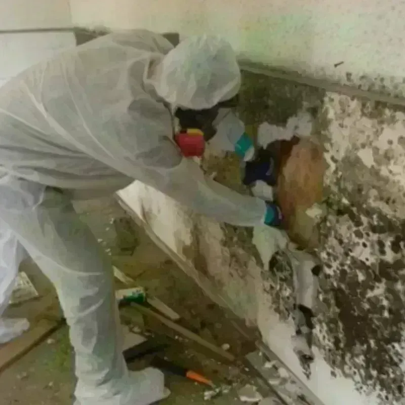 Mold Remediation and Removal in Dixfield, ME